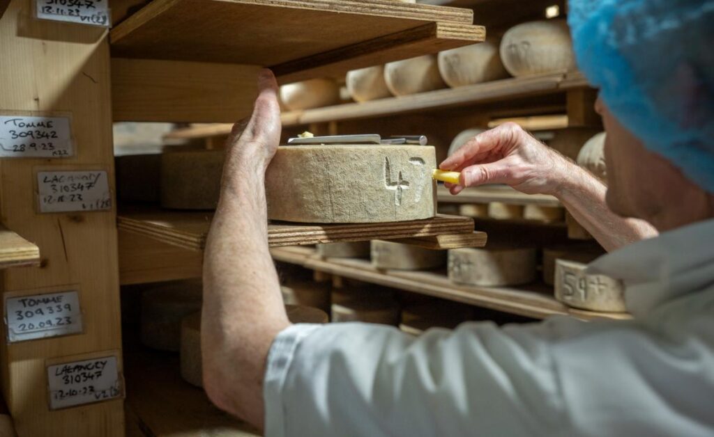 PW_SSDA_Ethical-Dairy_62